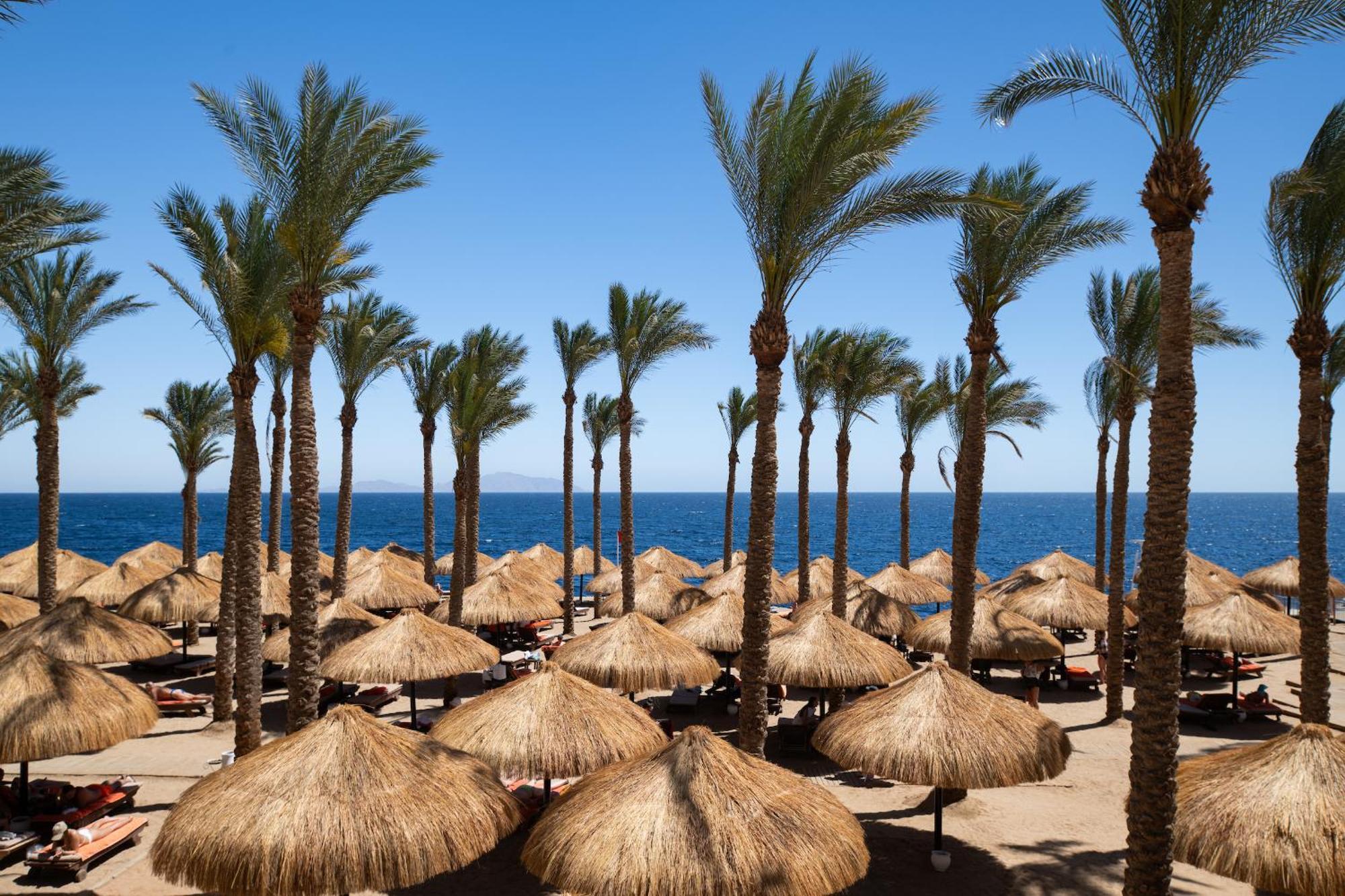The Grand Sheikh 5*